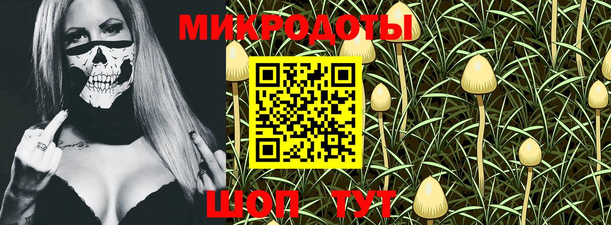 Калуга  Галлюциногенные грибы Psilocybe  Вход с VPN  Псилоцибиновые грибы мухоморы 